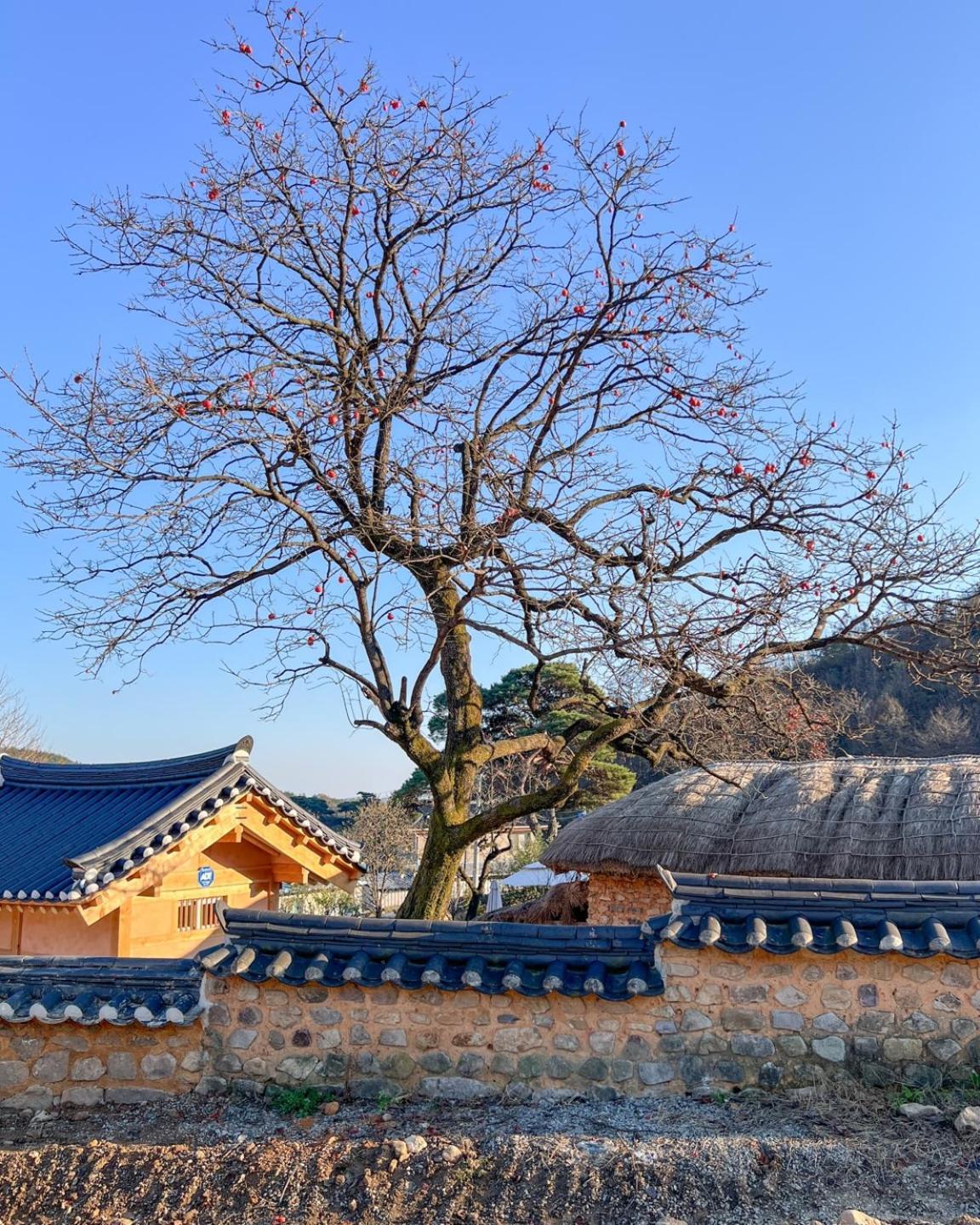 Jukheon Traditional House Andong Luaran gambar